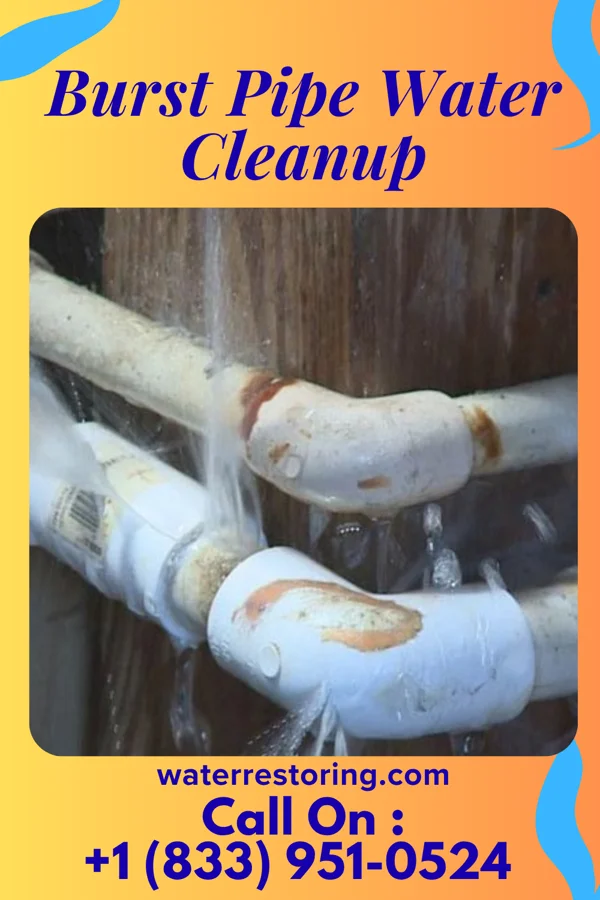 Burst Pipe Water Cleanup in Hyden, KY