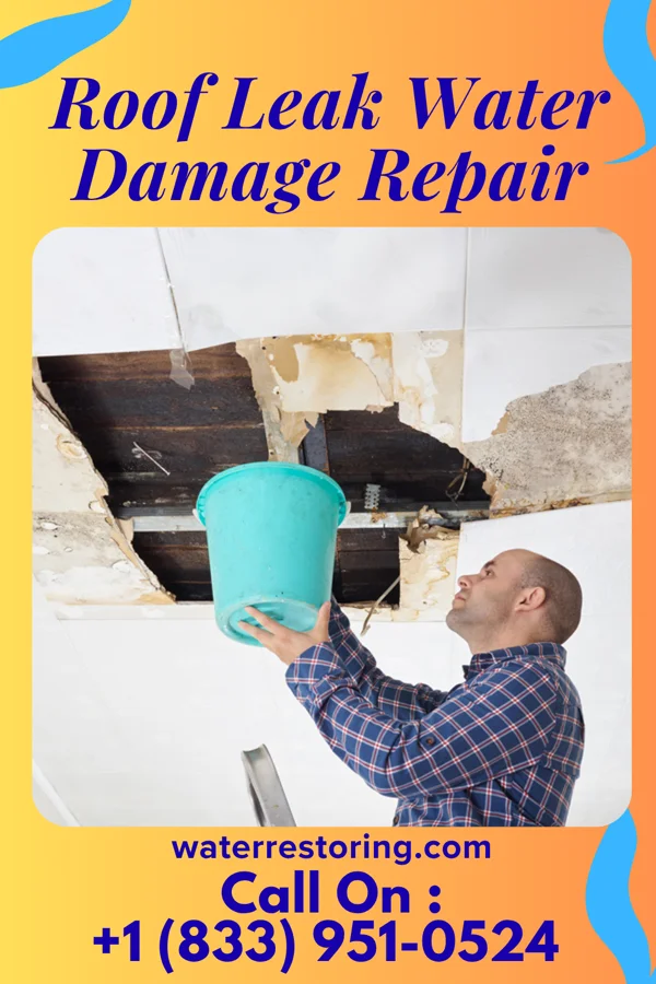 Roof Leak Water Damage Repair in Hyden, KY
