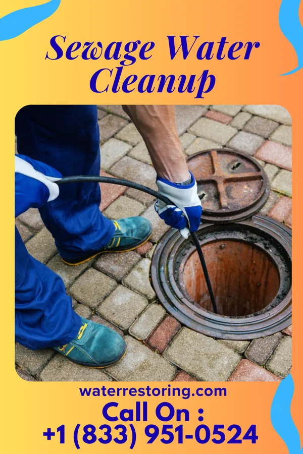 Sewage Water Cleanup in Hyden, KY