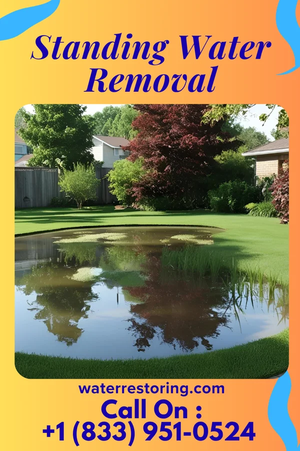Standing Water Removal in Hyden, KY
